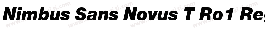Nimbus Sans Novus T Ro1 Regular Ita字体转换